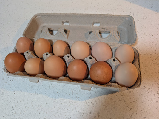 Organic Chicken Eggs