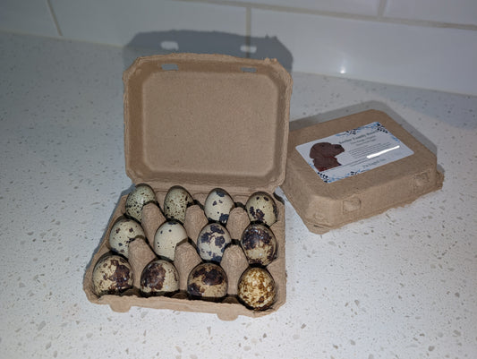 Quail Eggs