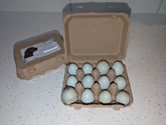 Quail Eggs