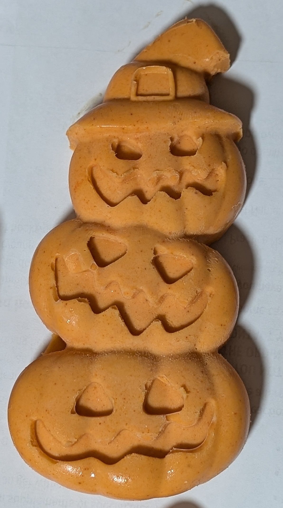 Goat Milk Soap - Autumn Collection