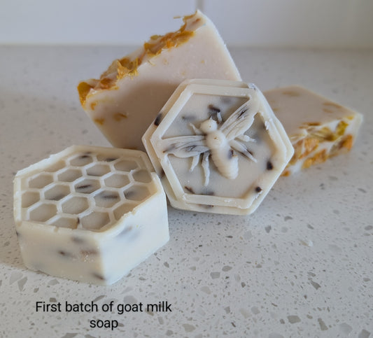 Goat Milk Soap