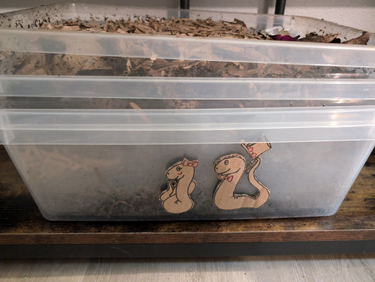 Vermicompost (Worm Castings)