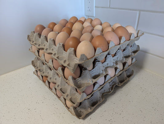 Organic Chicken Eggs